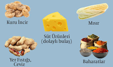 Aflatoksin riski taşıyan gıdalar: kuru incir, mısır, süt ürünleri, yer fıstığı, ceviz, baharatlar